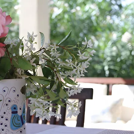 Leonilde 빌라 코스타 레이